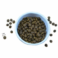 Riverwood Puppy Kalkkuna, Ankka & Fasaani - 12 Kg -lemmikki tallentaa 141201 riverwood puppy kalkkuna ankka fasaani nappulat