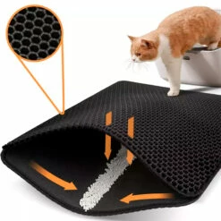 Boogie Kissanhiekkakaappari, 55 X 40 Cm