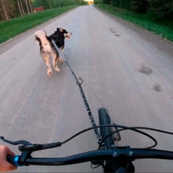 Axaeco GS Antenna Vetoadapteri -lemmikki tallentaa axaeco gs antenna vetoadapteri ax7350000000015 3