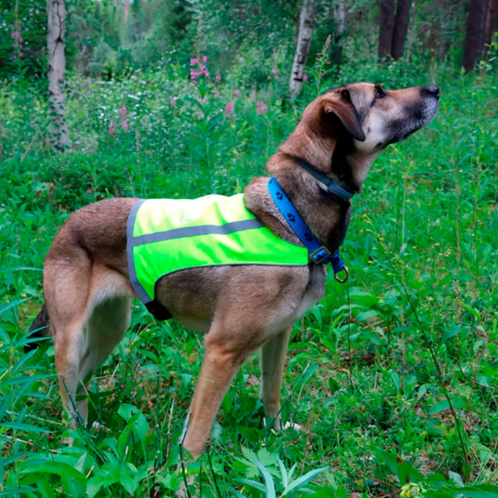 Axaeco Trapper Vest, Käännettävä Huomioliivi - Valitse Koko 3 Axaeco Trapper Vest, Käännettävä Huomioliivi - Valitse Koko - Image 3