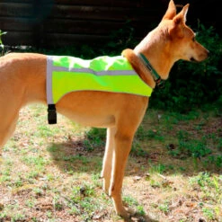 Axaeco Trapper Vest, Käännettävä Huomioliivi - Valitse Koko 7 Axaeco Trapper Vest, Käännettävä Huomioliivi - Valitse Koko -lemmikki tallentaa axaeco trapper vest kaannettava huomioliivi ax7350000000066 ax7350000000295 4