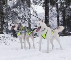 Axaeco X-Shirt Vetovaljas -lemmikki tallentaa axaeco x shirt vetovaljas 4