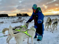 Axaeco X-Shirt Vetovaljas -lemmikki tallentaa axaeco x shirt vetovaljas 6