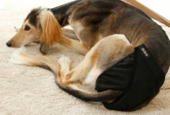 Brava Narttusuoja, Musta - Eri Kokoja -lemmikki tallentaa b r brava narttusuoja musta 2 96