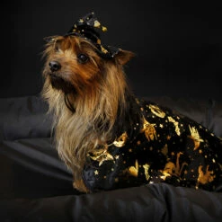 Boogie Festival Halloween-asu -lemmikki tallentaa boogie festival halloween asu koiralle viitta ja hattu mb36401 4