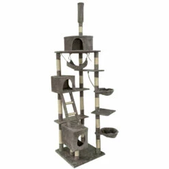 Boogie, Kissan Kiipeilypuu, Colosseum