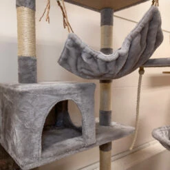 Boogie, Kissan Kiipeilypuu, Colosseum -lemmikki tallentaa boogie kissan kiipeilypuu colosseum se6837 4