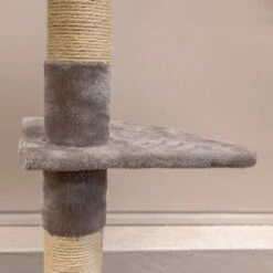 Boogie, Kissan Kiipeilypuu, Khalifa -lemmikki tallentaa boogie kissan kiipeilypuu khalifa se0029 3