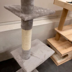 Boogie, Kissan Kiipeilypuu, Khalifa -lemmikki tallentaa boogie kissan kiipeilypuu khalifa se0029 6