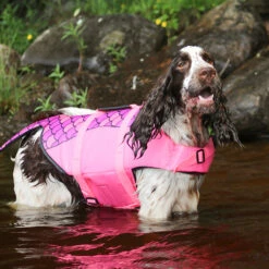 Boogie Koiran Pelastusliivi Merenneito - Eri Kokoja 17 Boogie Koiran Pelastusliivi Merenneito - Eri Kokoja -lemmikki tallentaa boogie koiran pelastusliivi merenneito 61300 61301 61302 61303 6