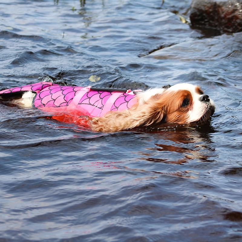 Boogie Koiran Pelastusliivi Merenneito - Eri Kokoja 7 Boogie Koiran Pelastusliivi Merenneito - Eri Kokoja - Image 7