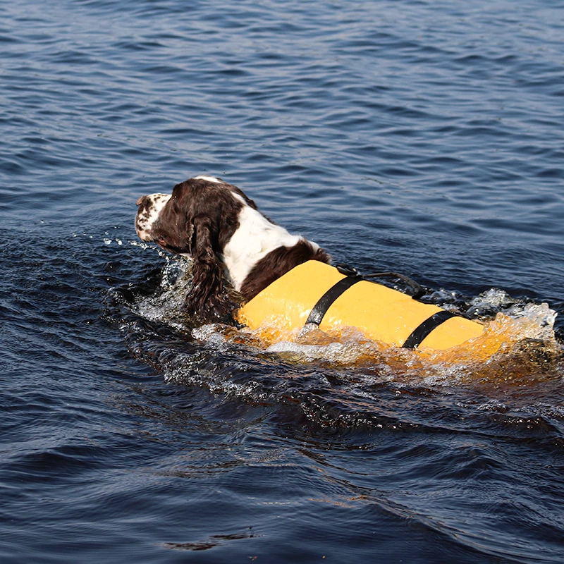 Boogie Koiran Pelastusliivi Tyrsky - Eri Kokoja 3 Boogie Koiran Pelastusliivi Tyrsky - Eri Kokoja - Image 3