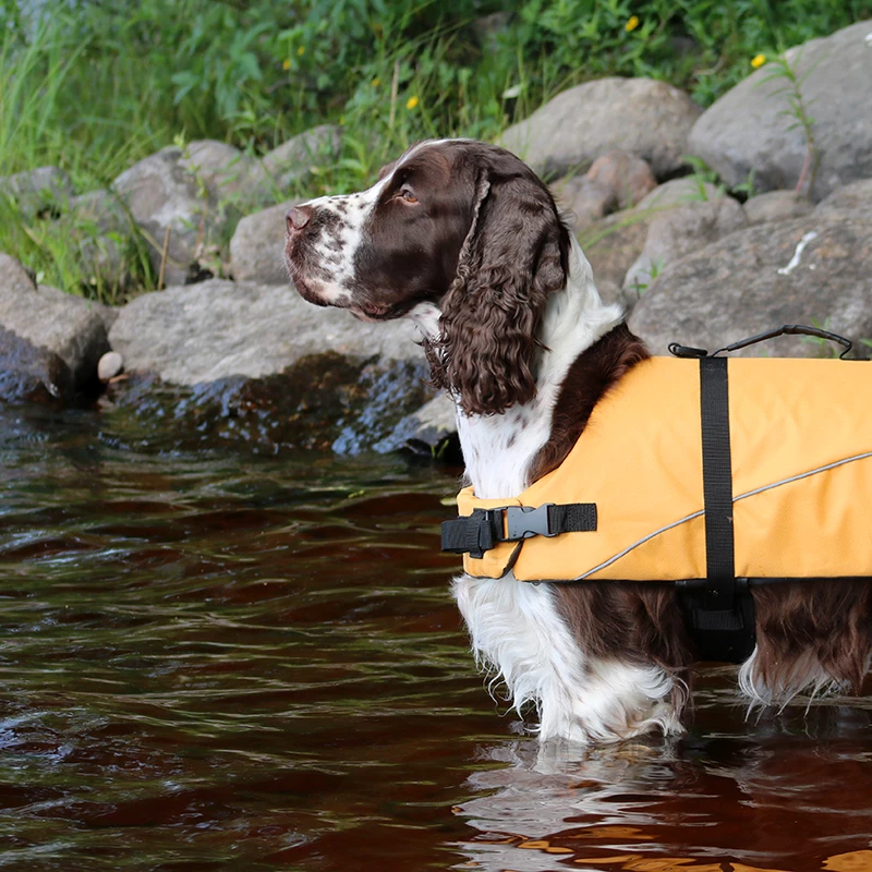 Boogie Koiran Pelastusliivi Tyrsky - Eri Kokoja 4 Boogie Koiran Pelastusliivi Tyrsky - Eri Kokoja - Image 4