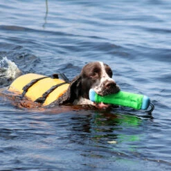 Boogie Koiran Pelastusliivi Tyrsky - Eri Kokoja 14 Boogie Koiran Pelastusliivi Tyrsky - Eri Kokoja -lemmikki tallentaa boogie koiran pelastusliivi tyrsky 61304 61308 4 1