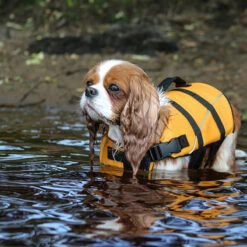 Boogie Koiran Pelastusliivi Tyrsky - Eri Kokoja 15 Boogie Koiran Pelastusliivi Tyrsky - Eri Kokoja -lemmikki tallentaa boogie koiran pelastusliivi tyrsky 61304 61308 5