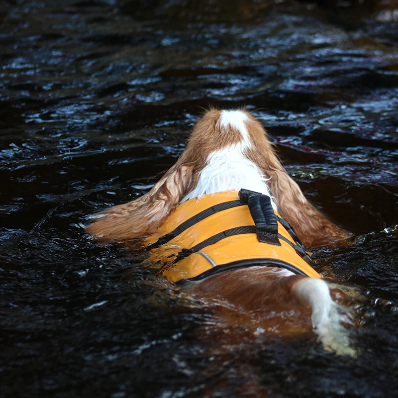 Boogie Koiran Pelastusliivi Tyrsky - Eri Kokoja 7 Boogie Koiran Pelastusliivi Tyrsky - Eri Kokoja - Image 7