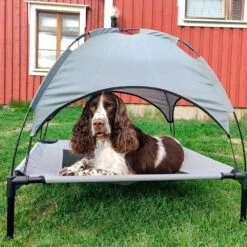 Boogie Koiranpeti Aurinkovarjolla -lemmikki tallentaa boogie koiranpeti aurinkovarjolla 61320 61321 61322 3 1