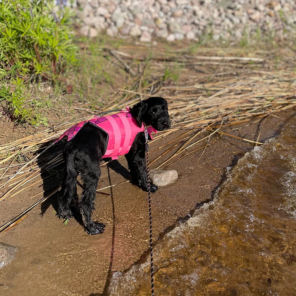 Boogie Koiran Pelastusliivi Merenneito - Eri Kokoja 10 Boogie Koiran Pelastusliivi Merenneito - Eri Kokoja - Image 10