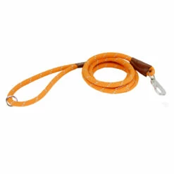 Boogie Köysitalutin -lemmikki tallentaa boogie talutin oranssi 180cm cl113o