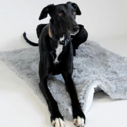 Brava Fluffy Koiran Makuualusta, Vaaleanharmaa -lemmikki tallentaa brava fluffy koiran makuualusta vaaleanharmaa 80850 80851 80852 6