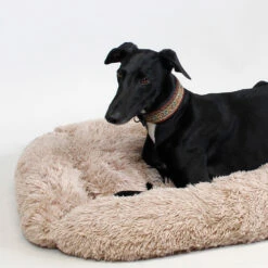 Brava Fluffy Rauhoittava Peti, Suorakulmio, Beige -lemmikki tallentaa brava fluffy rauhoittava peti suorakulmio beige 80897 80898 80899 5