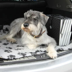 Brava Koiran Portaat -lemmikki tallentaa brava koiran portaat ndb2043 6