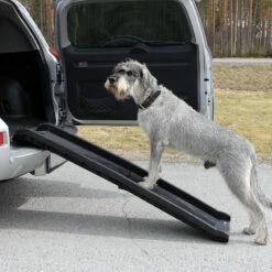 Brava Koiran Ramppi, Taittuva -lemmikki tallentaa brava koiran ramppi taittuva npl2004 4