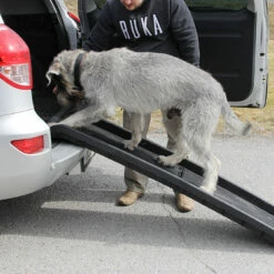 Brava Koiran Ramppi, Taittuva -lemmikki tallentaa brava koiran ramppi taittuva npl2004 5