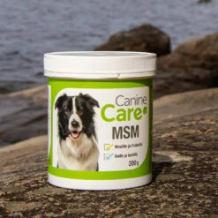 CanineCare MSM, 300 G -lemmikki tallentaa caninecare msm