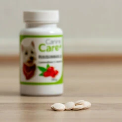 CanineCare, Ruusunmarja, 120 Tablettia -lemmikki tallentaa caninecare ruusunmarja olomuoto