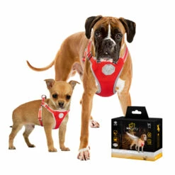 Duvo+ Heijastava Talutin Ja Valjaat Turvavalolla