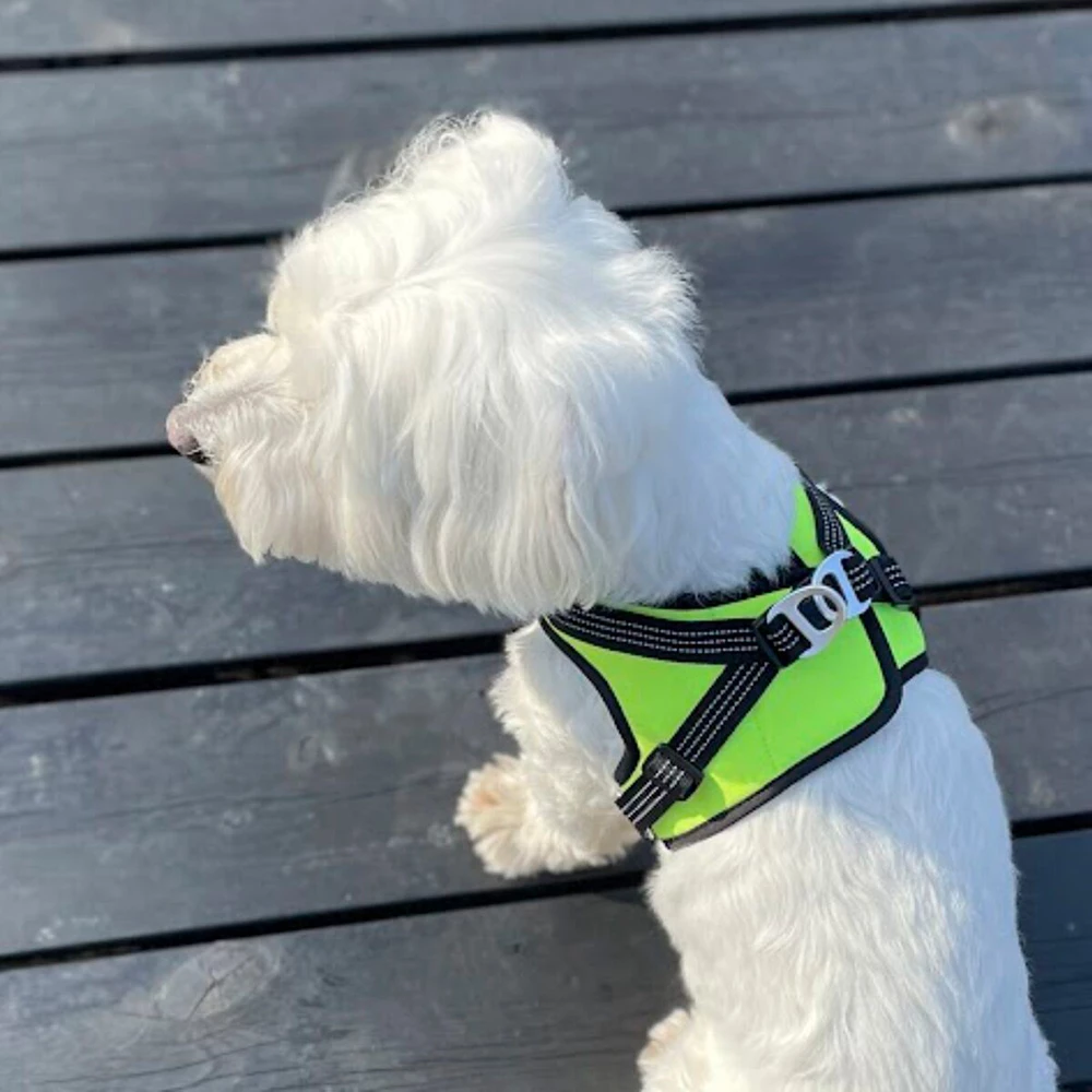 Finnero Hali Liivivaljaat Lemmikille 4 Finnero Hali Liivivaljaat Lemmikille - Image 4