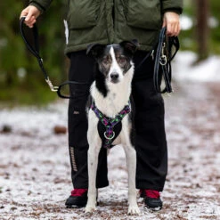 Finnero RESCUE Käsilenkki, Sport -lemmikki tallentaa finnero rescue kulkuri kasilenkki sport fnk22040 3