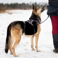 Finnero RESCUE Valjaan Stoppari -lemmikki tallentaa finnero rescue kulkuri valjaan stoppari fnk22034 fnk22035 2