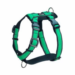 Finnero RESCUE Valjas Vihreä