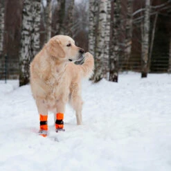 FInnero Sulo Suojatossut Koiralle -lemmikki tallentaa finnero sulo koiran suojatossut 2kpl pkt fn62028 fn62032 6