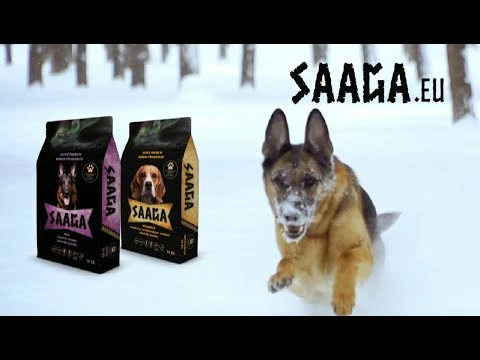 Saaga Maxi, Täysravinto Koirille 10 Kg 3 Saaga Maxi, Täysravinto Koirille 10 Kg - Image 3