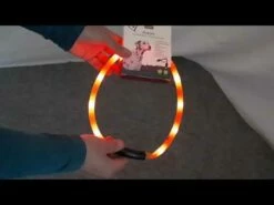 Yukon Valopanta Koiralle (20-70 Cm) - Eri Värejä -lemmikki tallentaa hqdefault 2 11