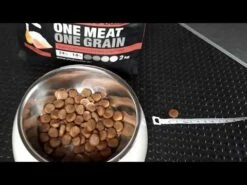 ProBooster Adult Sensitive Salmon 2 Kg -lemmikki tallentaa hqdefault 2 20