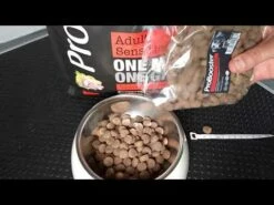 ProBooster Adult Sensitive Lamb 3 Kg -lemmikki tallentaa hqdefault 2 35