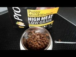 ProBooster Puppy Mini & Medium Chicken 2 X 15 Kg -lemmikki tallentaa hqdefault 3 3