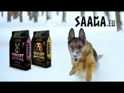 Saaga Mini & Medi 2 X 10 Kg -lemmikki tallentaa hqdefault 4