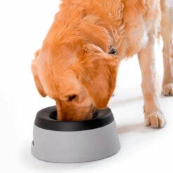 Hunter Koiran Loiskumaton Matkakuppi, 1,4 L 5 Hunter Koiran Loiskumaton Matkakuppi, 1,4 L -lemmikki tallentaa hunter koiran loiskumaton matkakuppi 1 4l ht44442 3