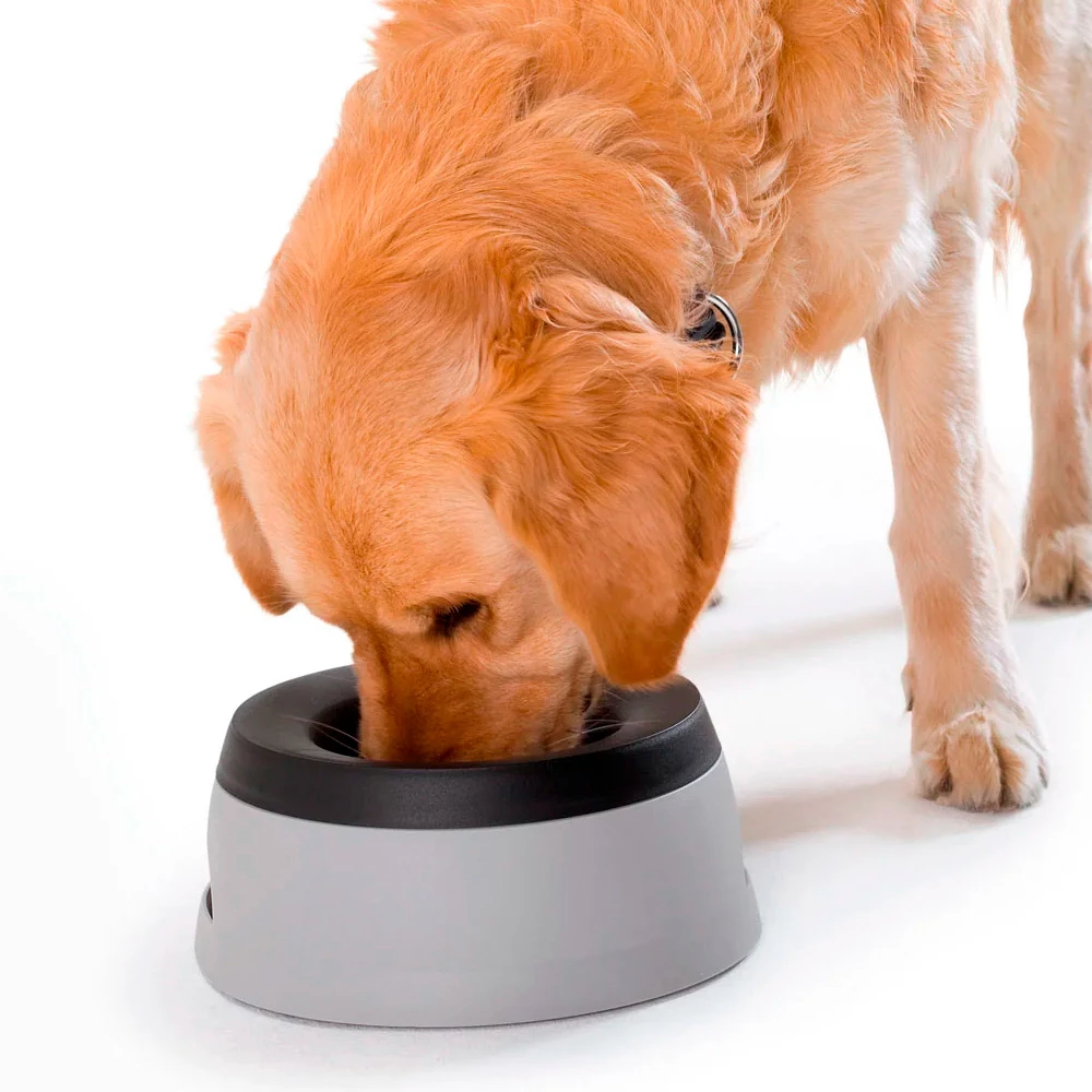 Hunter Koiran Loiskumaton Matkakuppi, 1,4 L 3 Hunter Koiran Loiskumaton Matkakuppi, 1,4 L - Image 3