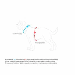 Hunter Koiran Valjas Divo 12 Hunter Koiran Valjas Divo -lemmikki tallentaa hunter koiran valjas divo puna harmaa ht67630 ht67632 ht67633 6