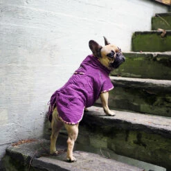 Hurtta Casual Tikkitakki -lemmikki tallentaa hurtta casual tikkitakki kanerva 932775 3