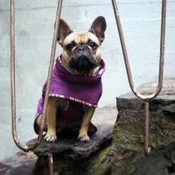 Hurtta Casual Tikkitakki -lemmikki tallentaa hurtta casual tikkitakki kanerva 932775 4