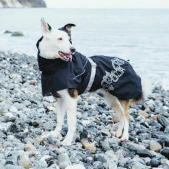 Hurtta Drizzle Sadetakki, Korppi -lemmikki tallentaa hurtta drizzle sadetakki korppi bfg933199 bfg933209 4