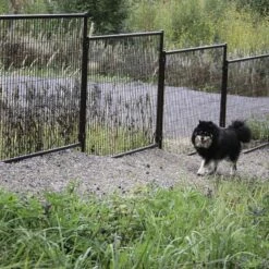 Jämpti Pro Mini Sinkitty + Maalattu Koiratarha 6 X 6 M (1 + 11, Korkeus 115 Cm) -lemmikki tallentaa j mpti pro mini sinkitty ja maalattu ruskea 1 2 1