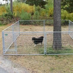 Jämpti Pro Mini Sinkitty + Maalattu Koiratarha 6 X 6 M (1 + 11, Korkeus 115 Cm) -lemmikki tallentaa j mpti pro mini sinkitty ja maalattu vaaleanharmaa 4 1